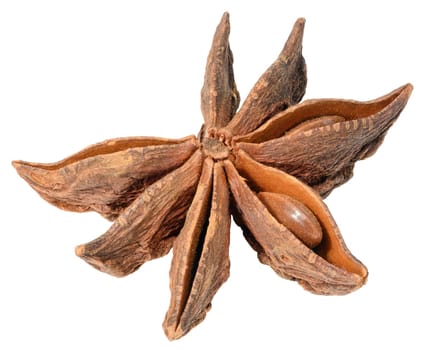 Spice star anise on white isolated background, close up