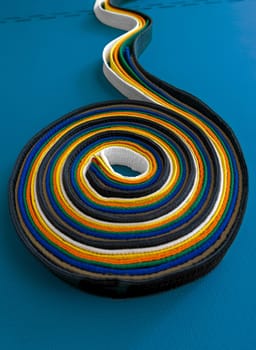 Martial arts concept. Colored belts on a tatami.