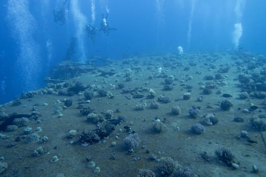 Safaga, Red Sea, Egypt, November 11,2023: Group of divers exploring wreck of a passenger ferry Salem Express lying at the bottom of Red Sea in Egypt near Safaga