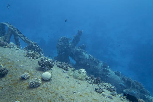 Wreck of a passenger ferry Salem Express lying at the bottom of Red Sea in Egypt near Safaga. Ship overgrown with coral reef, underwater landscape