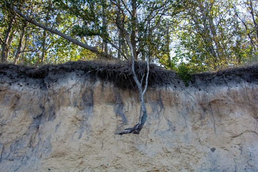 Dangerous cliffs with demolition danger on the island of Poel on the Baltic Sea, Germany