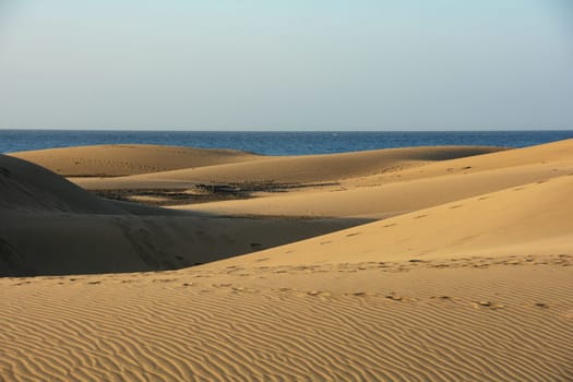 In the dunes of Maspalomas on Gran Canaria in Spain. View of the sea, with blue sky. The huge sand dunes resemble a small desert and are a nature reserve.