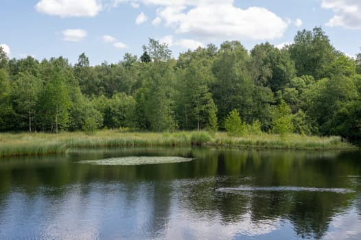 Reservoir at the red moor in the high Rhoen, Hesse, Germany. With blue sky and white clouds and reflection in the water