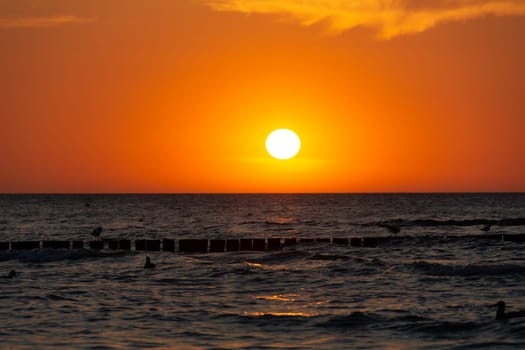 Orang - red sunset over the ocean, with wooden post breakwater and seagulls