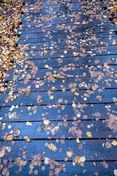 Many autumn leaves on a wet path made of wooden planks after a rain in autumn