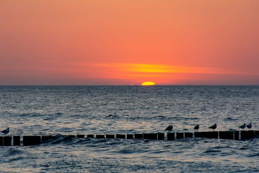 Orang - red sunset over the ocean, with wooden post breakwater and seagulls