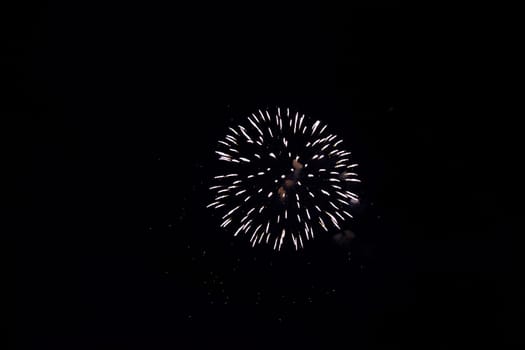Big colorful fireworks in the black night sky