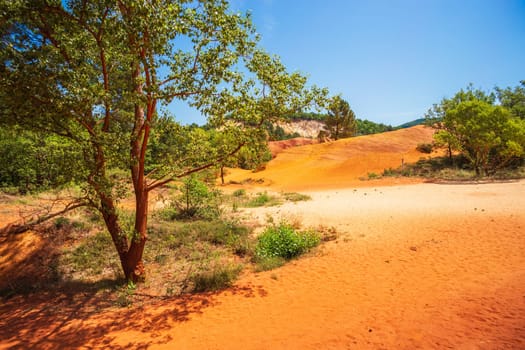 Sunlit scenes in The Provençal Colorado (Le Colorado Provençal). Photography taken in the south of France in the Luberon region where ochre was mined