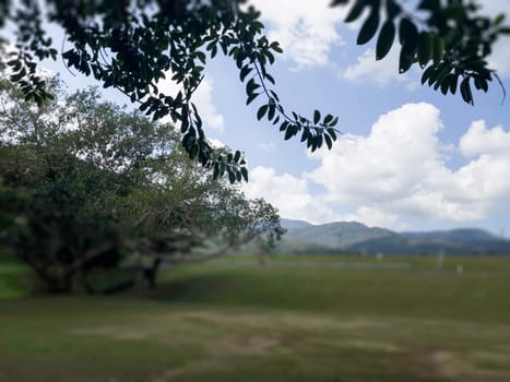 Beautiful landscape mountain green field grass meadow, stock photo