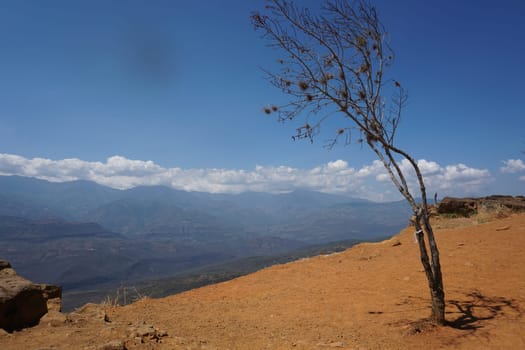 View from Barichara into the Chicamocha Canyon with a small tree in the foreground, Colombia 2020