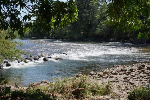River in the Parque Natural El Gallineral, San Gil, Colombia 2020