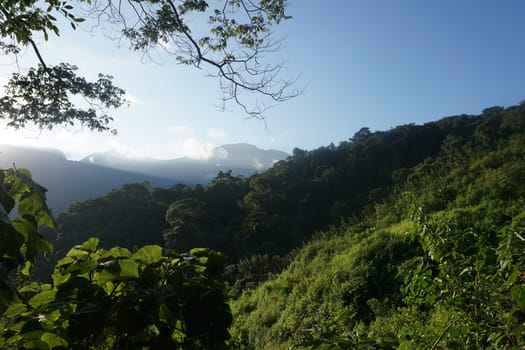 Special atmosphere before sunset on the Lost City Trek, Ciudad Perdida, close to Santa Marta, Colombia 2020