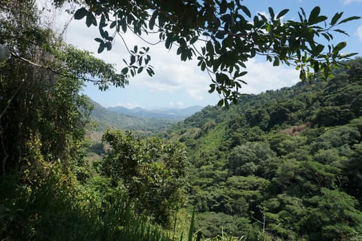 View onto the jungle on the lost city trek, ciudad perdida, close to Santa Marta, Colombia 2020