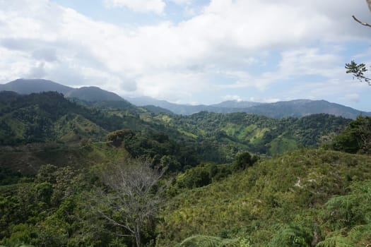 Spectacular view on the lost city trek into the jungle, Ciudad Perdida, close to Santa Marta, Colombia 2020