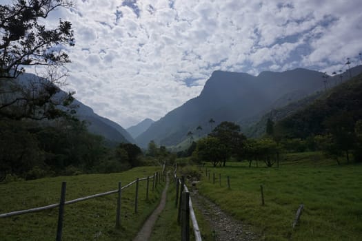 Lush vegetation along the trail to the Cocora Valley, Valle de Cocora, close to Salento, Eje Cafetero, Colombia 2020
