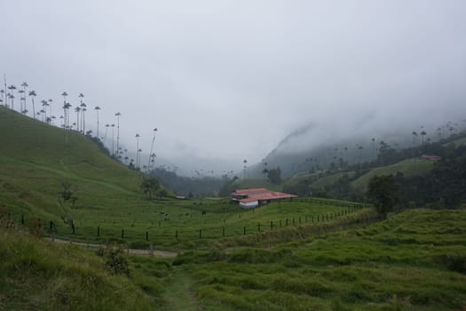 Finca, farmhouse in the Cocora Valley, Valle de Cocora, Eje Cafetero, Salento, Colombia 2020