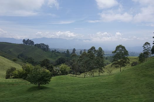 Lush farmland on the way to the Cocora Valley, Valle de Cocora, close to Salento, Eje Cafetero, Colombia 2020