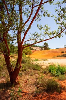 Sunlit scenes in The Provençal Colorado (Le Colorado Provençal). Vertical photography taken in the south of France in the Luberon region where ochre was mined