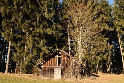 Abandoned hut shed shelter, overgrown on a meadow near Wertach, Allgäu, Germany 2022