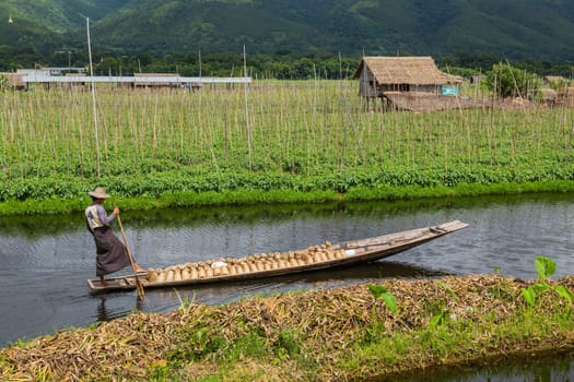 The Inle Lake. Myanmar: 17 August 2020: Fisherman rowing boat on Inle Lake, Myanmar. Inle Lake is famous for its floating villages and gardens.