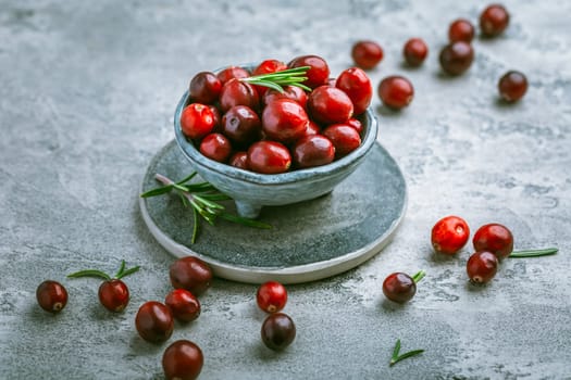 Organic Cranberries in a bowl on grey background