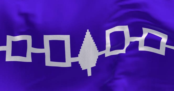 Close-up of Iroquois flag waving. Purple flag with four connected white squares and an eastern white pine tree in the center. 3d illustration render. Rippling fabric background