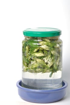 wild garlic flower bud in lacto fermented