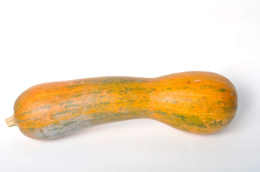 Squash on a white background