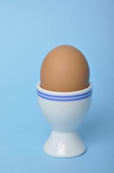 boiled egg on a blue background