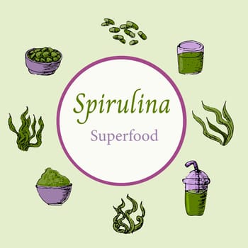 Background of spirulina algae in hand drawn sketch style. Vector illustration multicolored. Can used for superfood label, flyer, card.