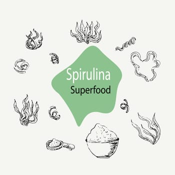 Vector background of spirulina - spirulina algae, pills and powder outline. Superfood. Vector hand drawn illustration. Vector collection can used for banner, label.
