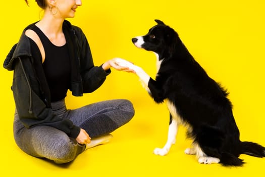 Woman with cute dog border collie is in a studio. Sport with pet