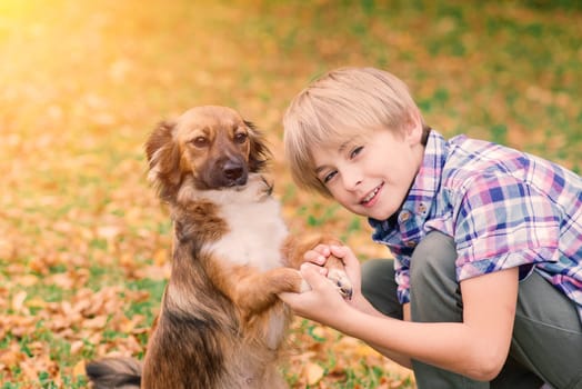 Cute boy playing and walking with his dog in the meadow.