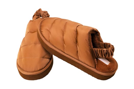 Slippers isolated. Close-up of a pair of female brown warm and soft cosy terry house slippers isolated on white background. Clipping path. Womens shoes. Macro.