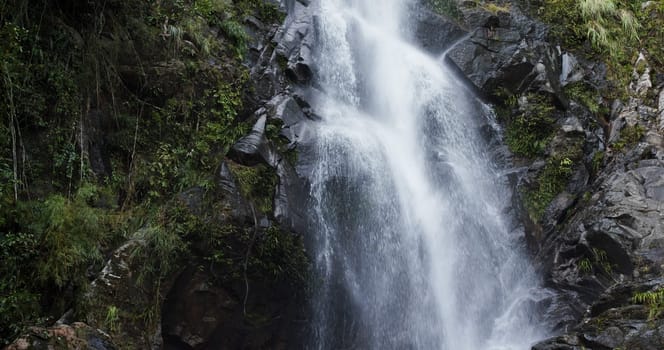 Beautiful waterfall in the forest