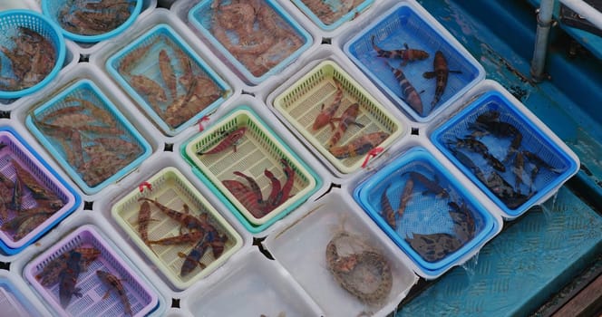 Sell seafood on fisherman boat