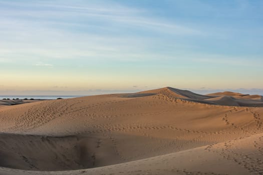 In the dunes of Maspalomas on Gran Canaria in Spain. The huge sand dunes resemble a small desert and are a nature reserve.