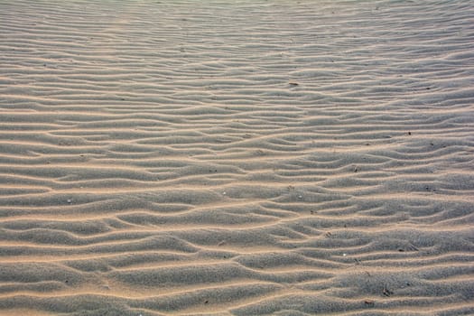 Wavy sand on a dune, full frame