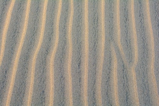 Wavy sand on a dune, full frame