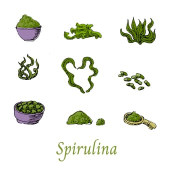 Set of Spirulina Algae Superfood Hand drawn Sketch. Vector illustration isolated. Vector sketch in green color included spirulina powder, tablets, pills, algae, raw product illustration.