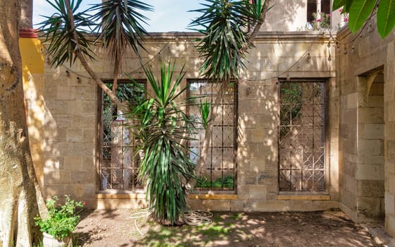 Verdant palm trees rises alongside a weathered aged stone wall, with three wrought iron windows in a rustic garden