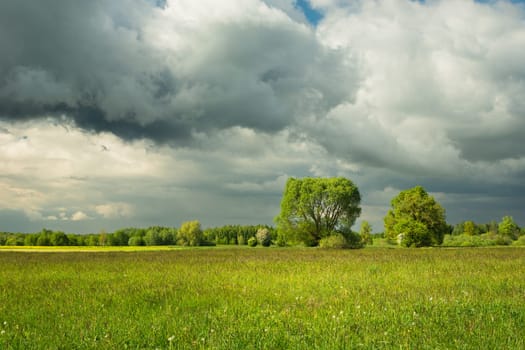Cloudy sky over a green rural landscape, spring view