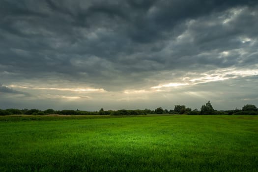 Lumen of sunlight on a cloudy sky and a green meadow, August evening in Nowiny, eastern Poland