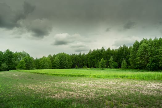 Cultivated fields in front of the forest on a cloudy spring day