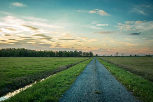 A gravel road through green meadows and a forest on the horizon