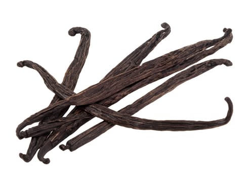 vanilla beans isolated on white background