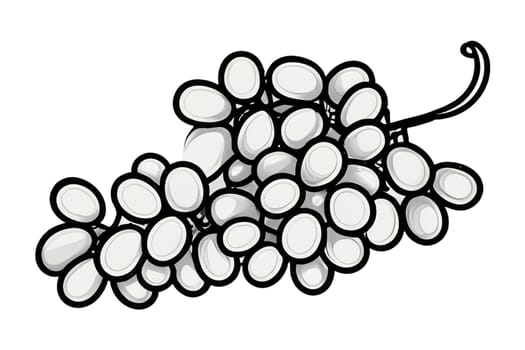 illustrative image of a bunch of grapes on a white background