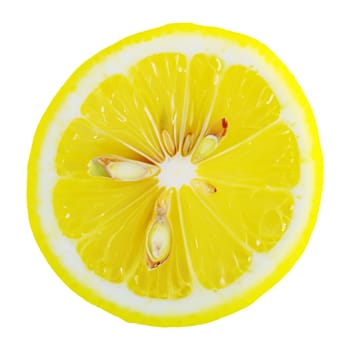 vibrant slice of lemon isolated on a clean white background