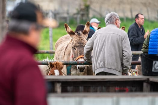 Beaucroissant, Isere, Rhone Alpes Auvergne, France April 22 2023 : Famous fair of Beaucroissant, he oldest fair of France since year 1219