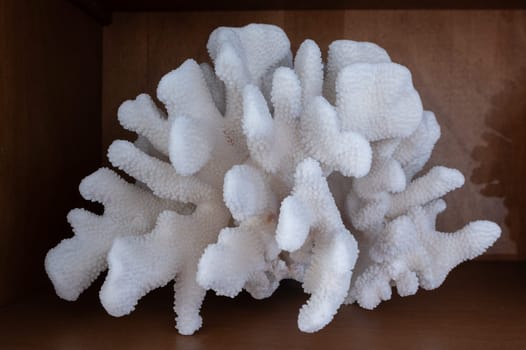 Natural and organic sponge in sale on the Symi island, near Rhodes island, Greece